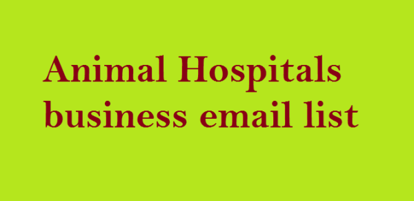 Animal Hospitals Email Insights Data