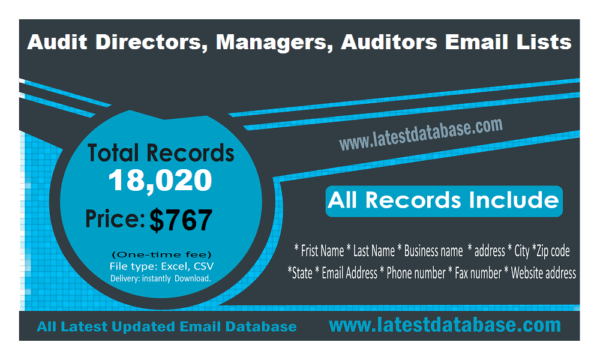 Audit Directors, Managers, Auditors Email Insights Datas