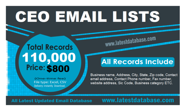 CEO Email Insights Datas