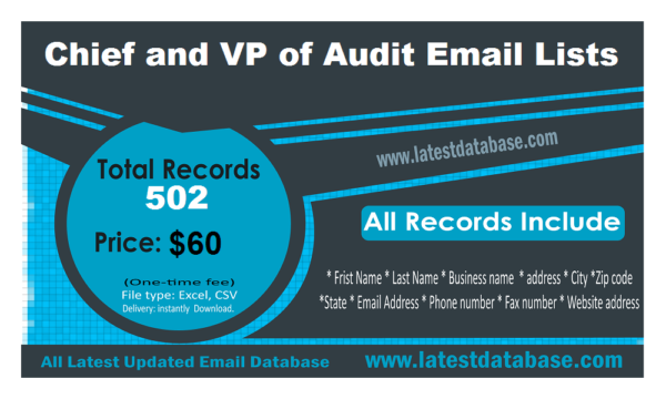 Chief and VP of Audit Email Insights Datas