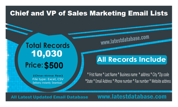 Chief and VP of Sales Marketing Email Insights Datas