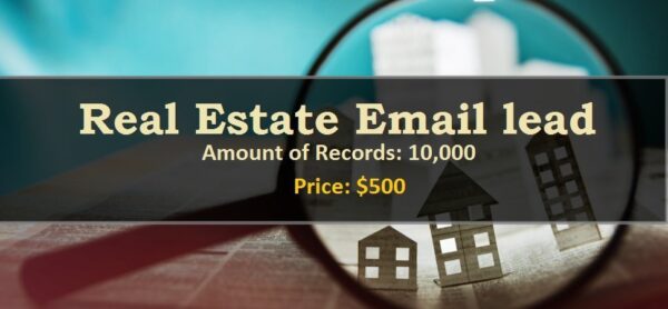 Real Estate Email Insights Data